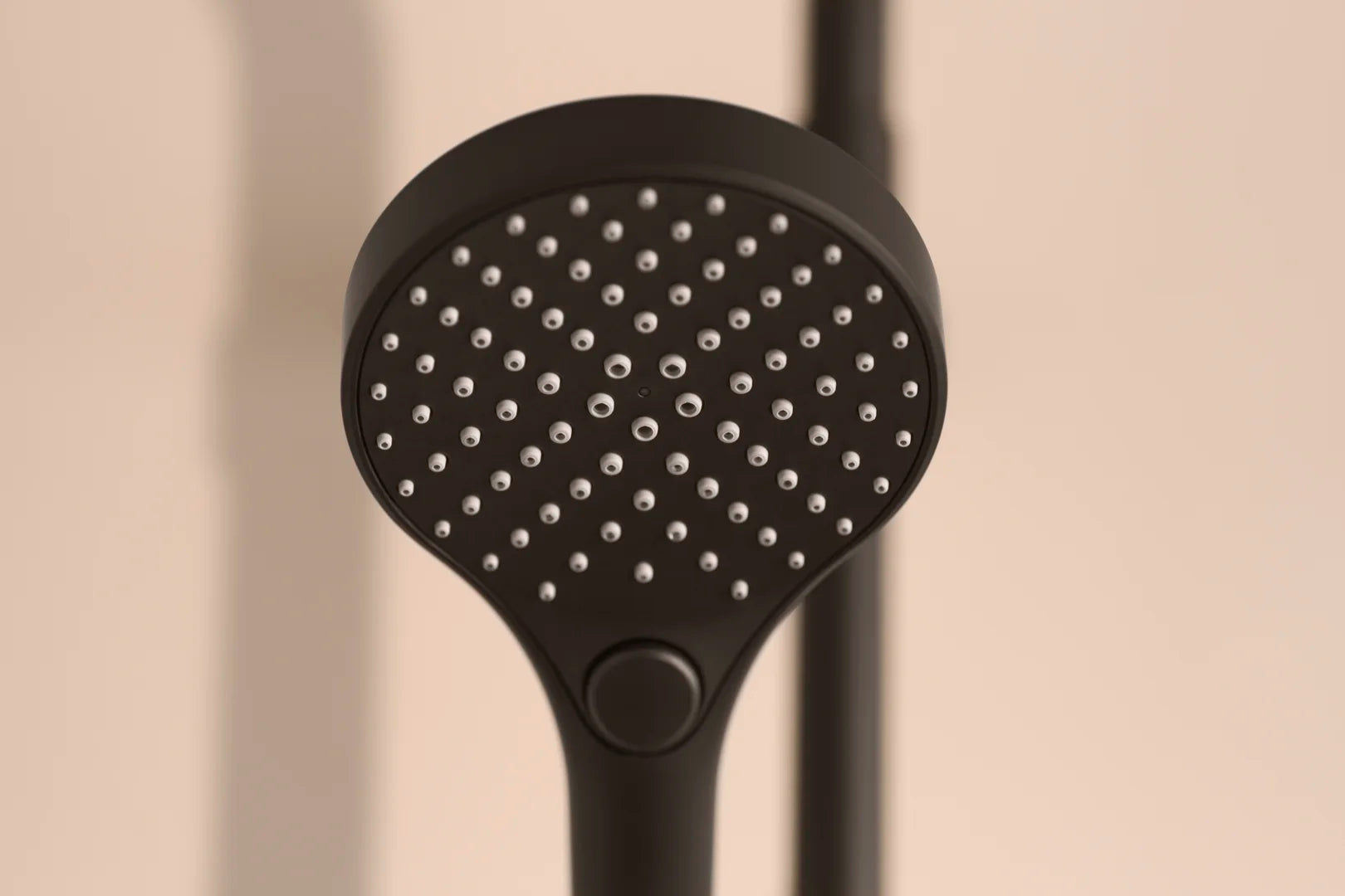 Hand shower, d 110 mm | 272020N-33 | Matt black
